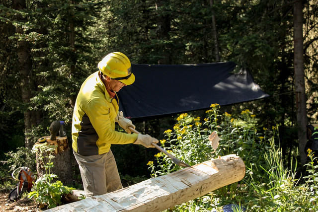 log planing